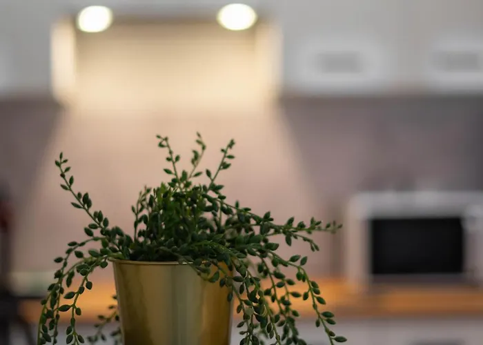 Waska 5 Appartamento *